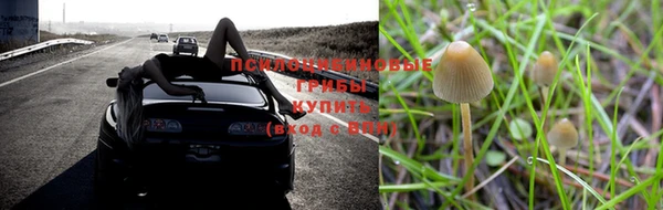 а пвп мука Лихославль