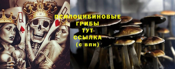 jwh Майский