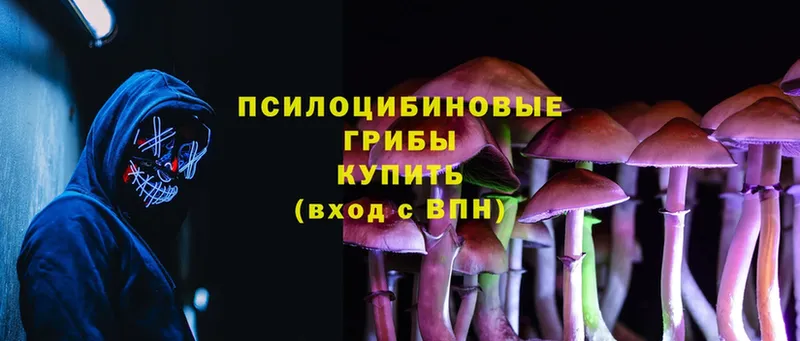 Галлюциногенные грибы MAGIC MUSHROOMS  Шадринск 