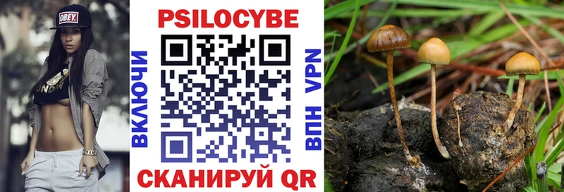 блэк спрут маркетплейс  Шадринск  Псилоцибиновые грибы GOLDEN TEACHER  где купить наркоту 