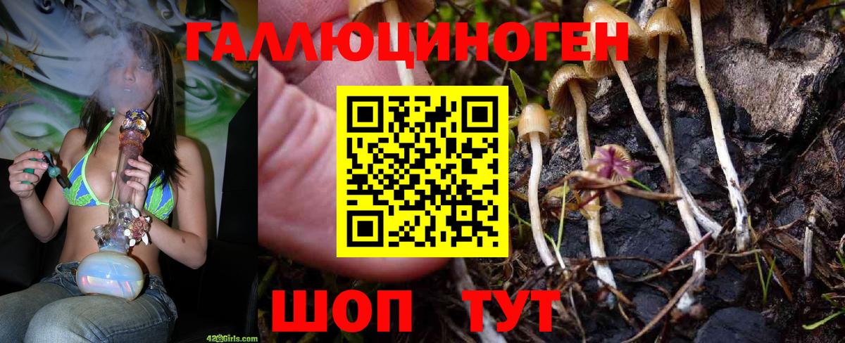 Псилоцибиновые грибы Magic Shrooms  Вход с VPN  Шадринск 